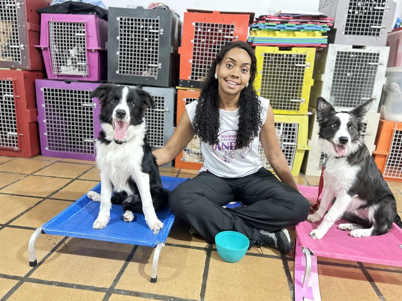 Ane com seus border collies