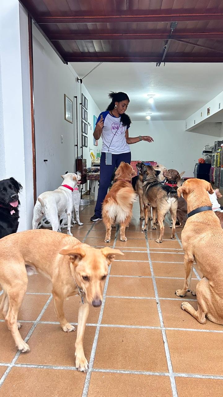 Ane com os cães na hospedagem
